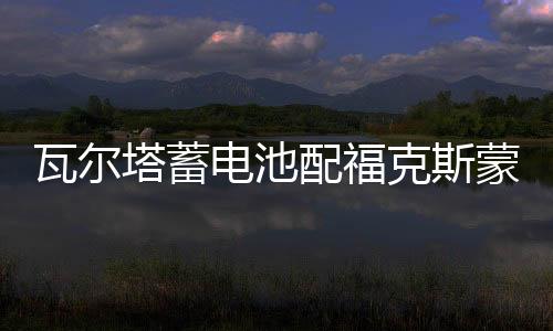 瓦尔塔蓄电池配福克斯蒙迪欧致胜翼虎福睿斯63AH汽车电瓶以旧换新下载