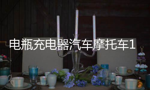 电瓶充电器汽车摩托车12v24v大功率通用型全自动智能便携式充电机下载
