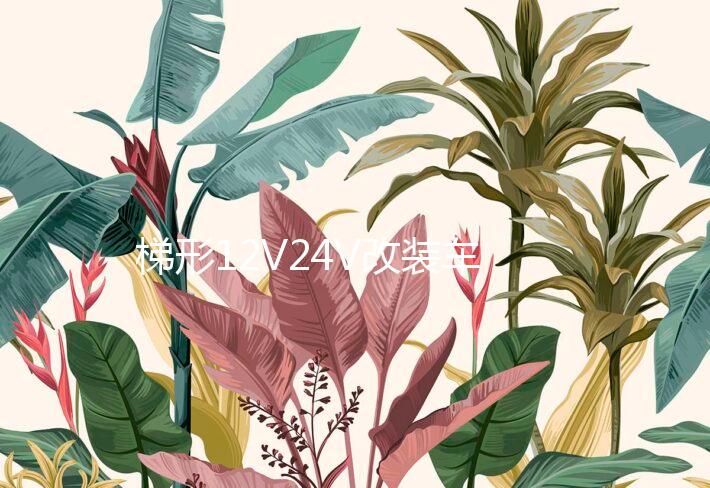 梯形12V24V改装车载货车音响插卡无线蓝牙音箱220V家用汽车低音炮下载