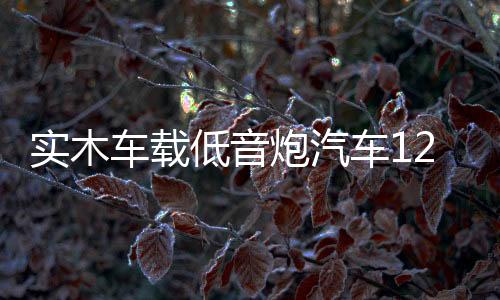 实木车载低音炮汽车12v24v无线蓝牙音箱改装220v家用台式电脑音响下载