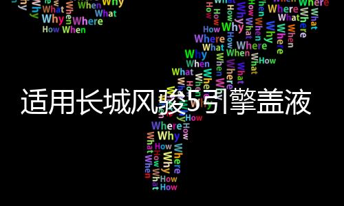 适用长城风骏5引擎盖液压杆改装风骏6/7 c50 M4炫丽C30 H3 H5支撑下载