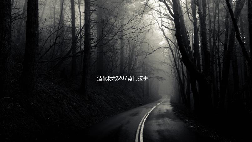 适配标致207背门拉手 标志206汽车后备箱拉手背门驱动器电机配件下载