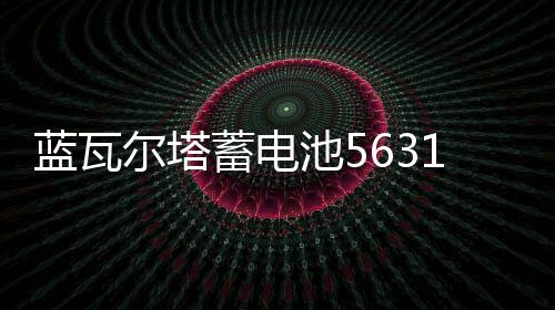 蓝瓦尔塔蓄电池56318汽车电瓶适配新福克斯经典福克斯蒙迪欧致胜下载