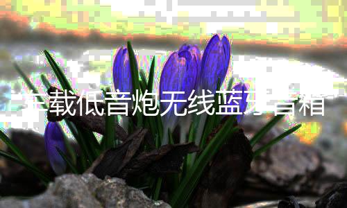 车载低音炮无线蓝牙音箱重低音12v24v大功率货车汽车音响改装家用下载