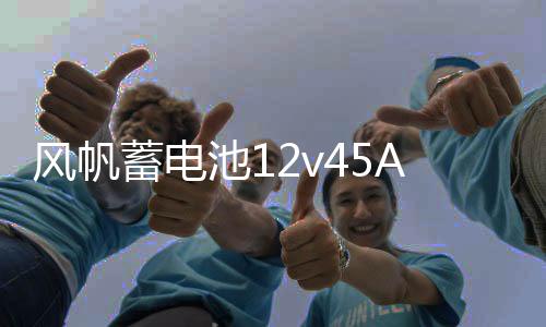 风帆蓄电池12v45Ah现代悦纳i30五菱宏光荣光V雅绅特46B24汽车电瓶下载