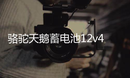 骆驼天鹅蓄电池12v45ah适配原装五菱宏光金刚长安面包车汽车电瓶下载