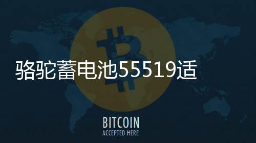 骆驼蓄电池55519适配福克斯传祺赛欧名爵汽车电瓶55ah 以旧换新下载