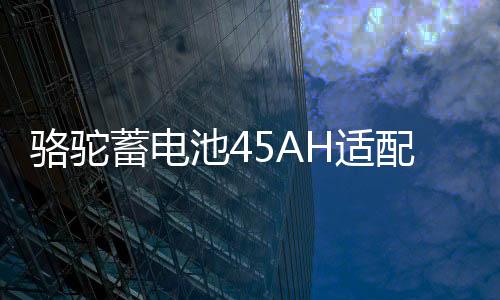 骆驼蓄电池45AH适配五菱宏光吉利QQ金刚熊猫长城M4M2原装汽车电瓶下载