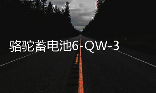 骆驼蓄电池6-QW-36适用于本田飞度哥瑞理念锋范铃木奥拓汽车电瓶B下载