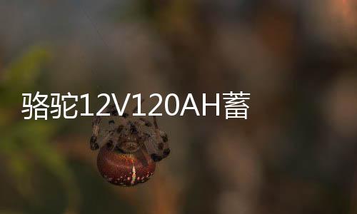 骆驼12V120AH蓄电池N120适配东风解放江铃卡车挖掘机叉车汽车电瓶下载