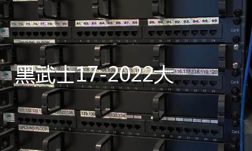 黑武士17-2022大众途观L丹当拿音响进口音响汽车音响原装喇叭高配下载