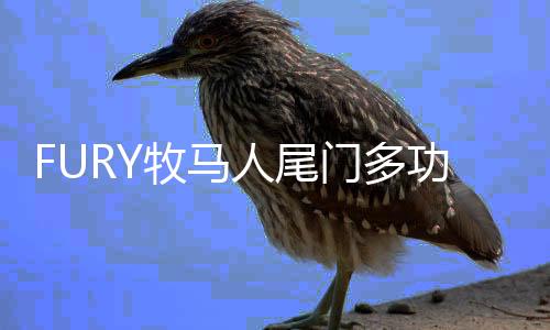 FURY牧马人尾门多功能平台改装汽车适用于JKjeep吉普唤醒个性配件下载