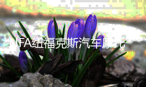 NFA纽福克斯汽车摩托车电瓶充电器12V数显全自动车载蓄电池充电机下载