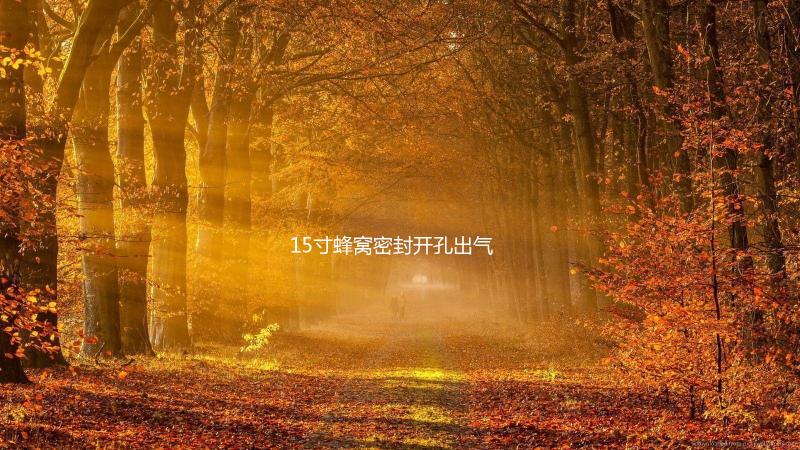 15寸蜂窝密封开孔出气箱15空箱体低音炮箱家用汽车用空箱木质包邮下载